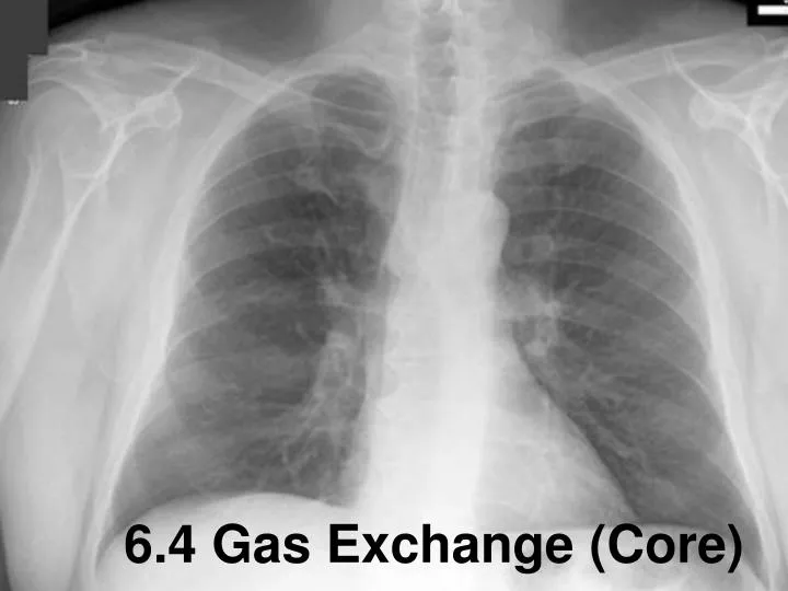 6 4 gas exchange core n.