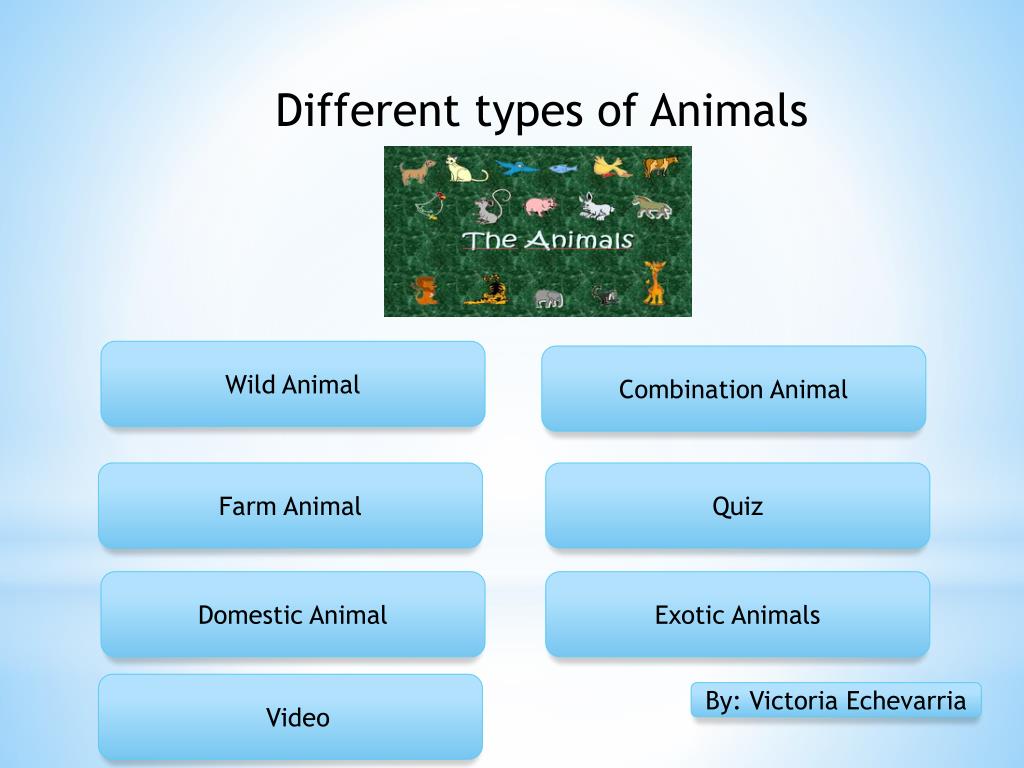 PPT - Different types of Animals PowerPoint Presentation, free download -  ID:2463422