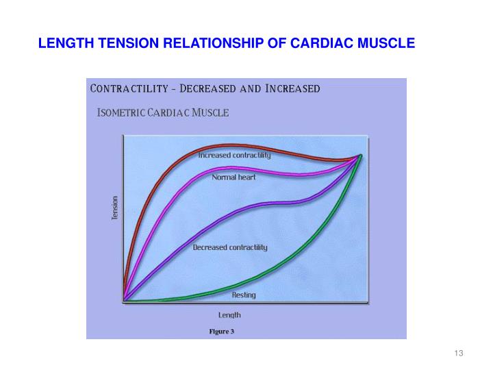 ppt-cardiac-output-and-venous-return-powerpoint-presentation-id-2463430