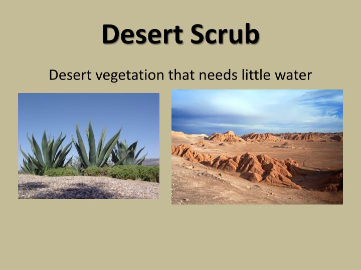 social studies powerpoint template