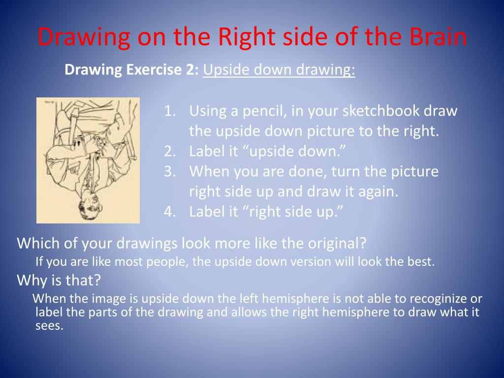 PPT Drawing on the Right Side of the Brain PowerPoint Presentation, free download ID2464420