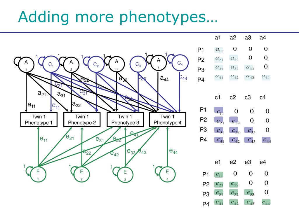 PPT - Introduction to Multivariate Genetic Analysis (2) Marleen de Moor ...