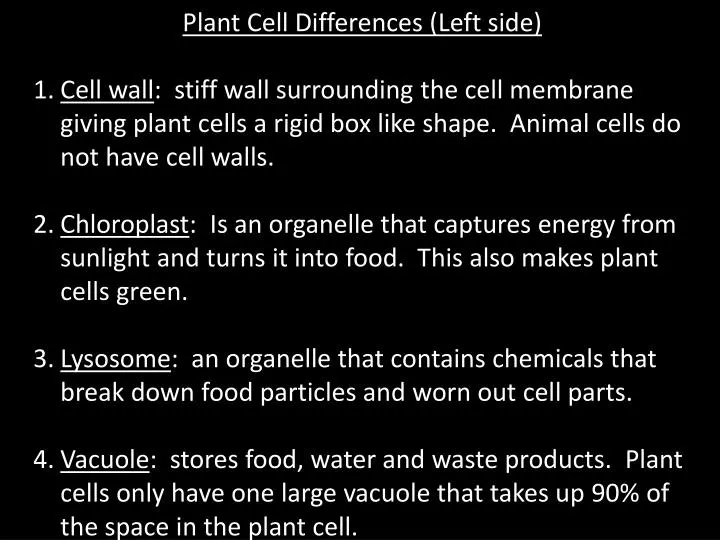 Ppt Plant Cell Differences Left Side Powerpoint Presentation Free Download Id 2464977