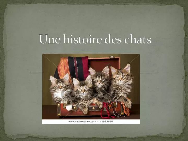 PPT - Une histoire des chats PowerPoint Presentation, free download ...
