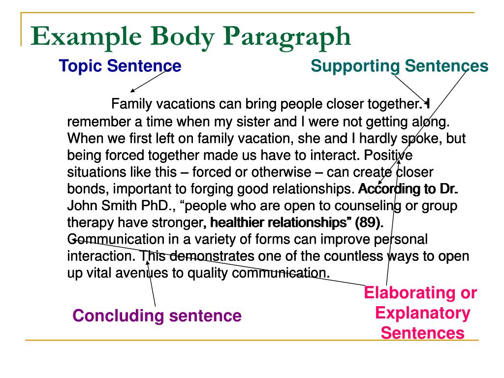 essay body paragraphs function