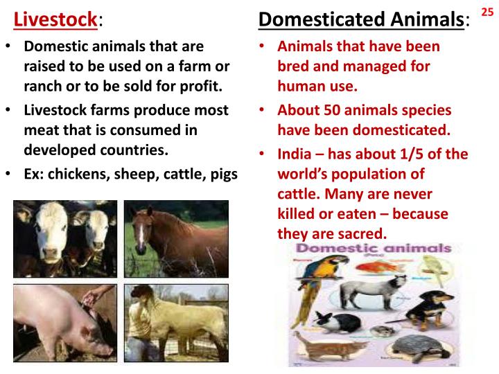 PPT Chapter 15 Food and Agriculture PowerPoint Presentation ID2466570