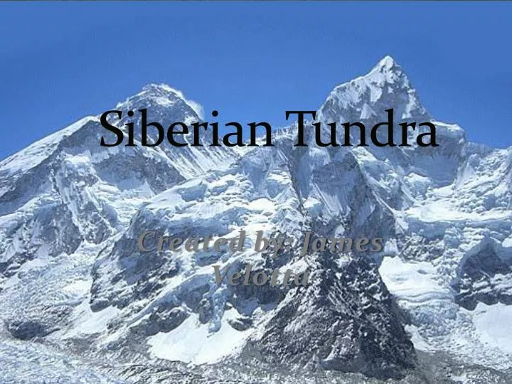 PPT - Siberian Tundra PowerPoint Presentation, free download - ID:2467194