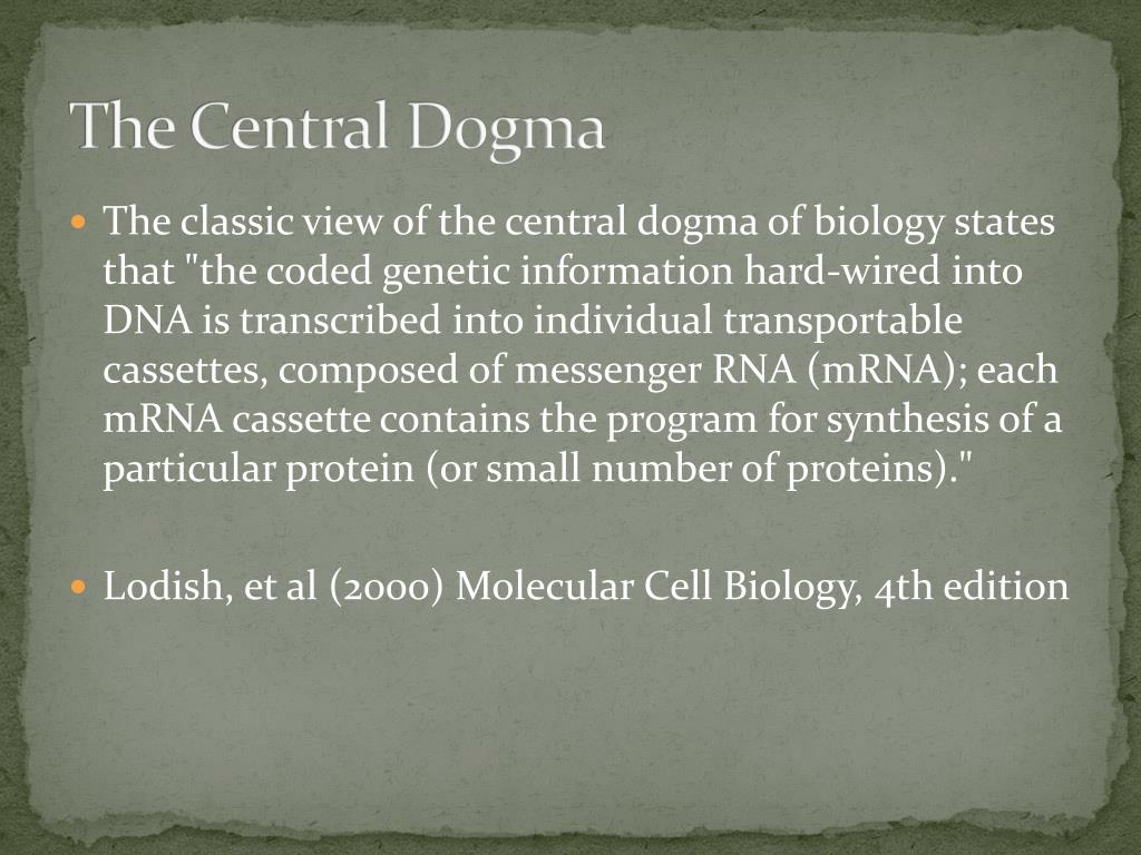 PPT - The Central Dogma of Molecular Biology PowerPoint Presentation ...