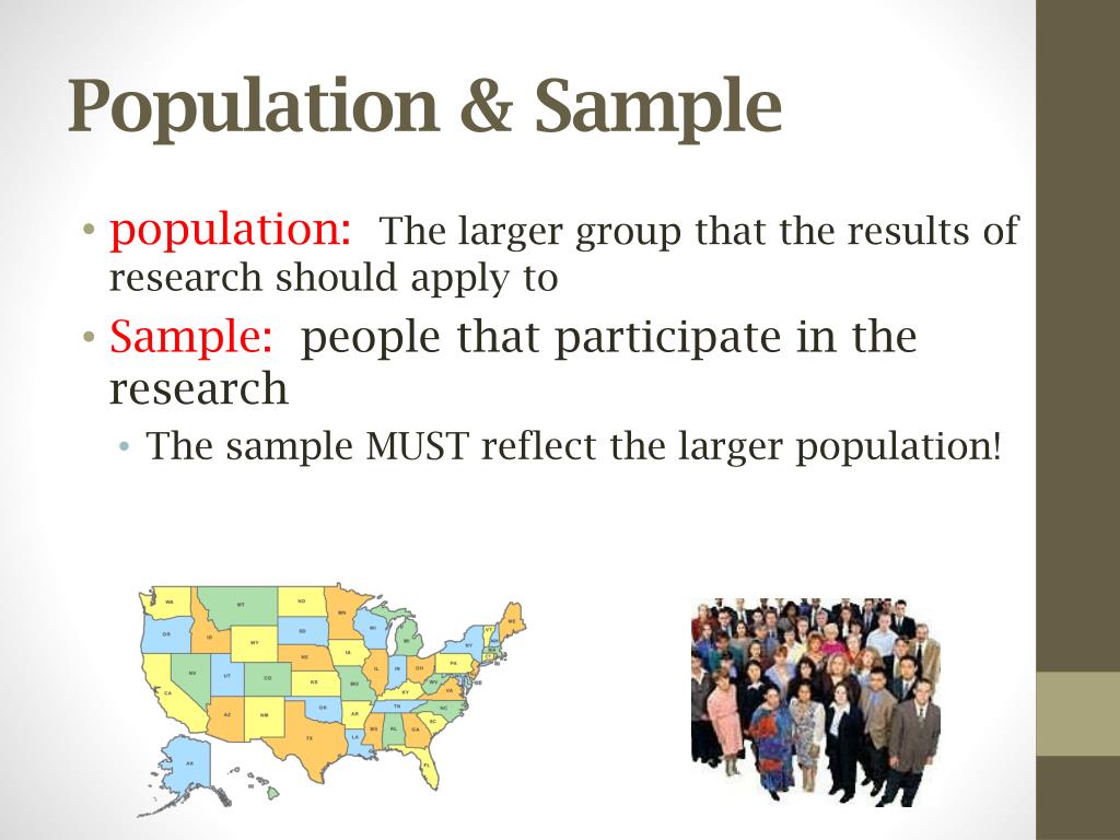 in research what is population