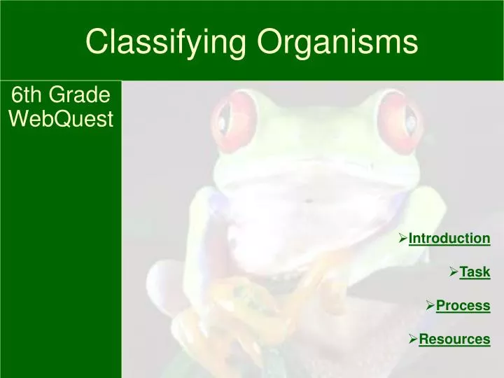 PPT - Classifying Organisms PowerPoint Presentation, free download - ID