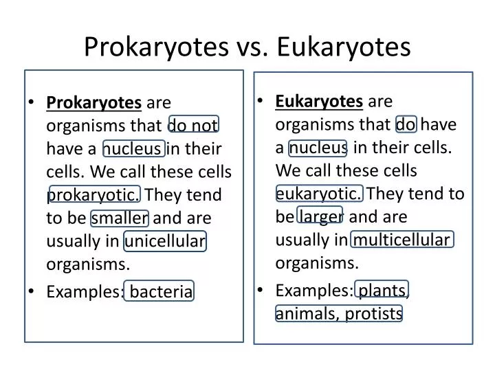 Ppt Prokaryotes Vs Eukaryotes Powerpoint Presentation Free