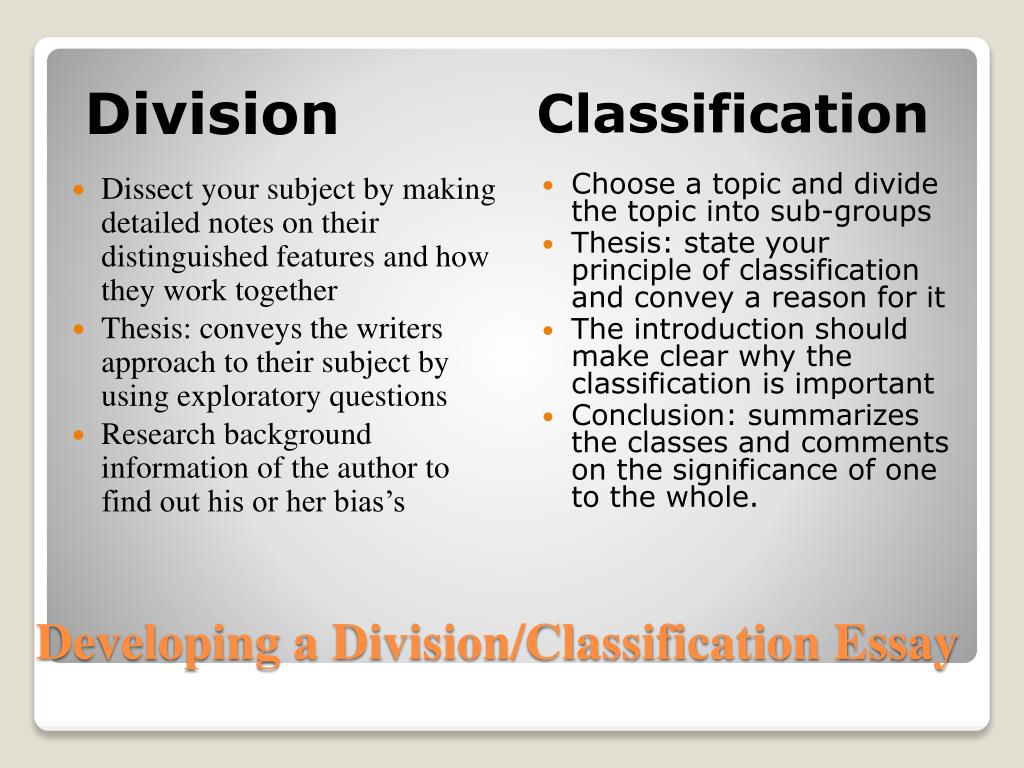 division classification essay definition