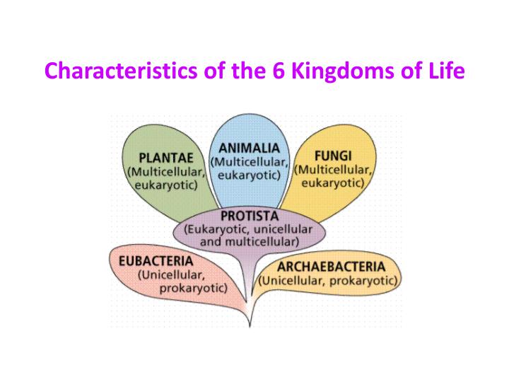 PPT - Which of the following is not a kingdom of life? PowerPoint ...