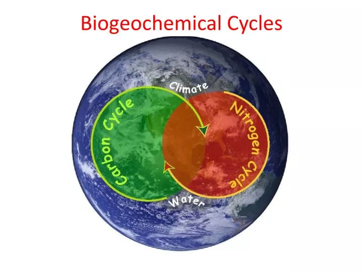 global biogeochemical cycles eth