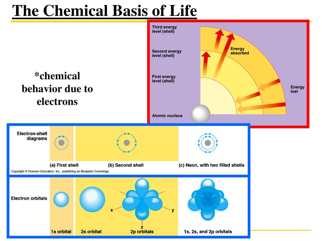Image result for Change and Its Forms Molecular Basis of Life Diagram