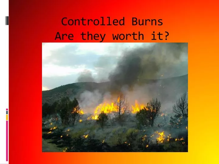 controlled burns are they worth it n.