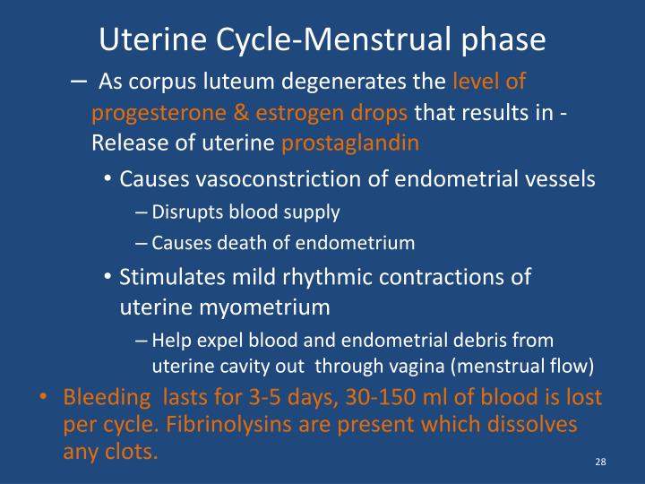 PPT - Female R eproductive Physiology and Menstrual cycle PowerPoint ...