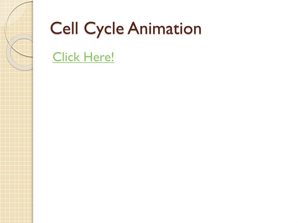 Cell Cycle and Mitosis PowerPoint Presentation, free download ... Biology Diagrams