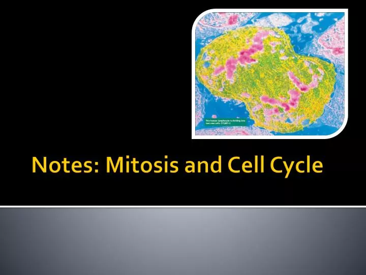 notes mitosis and cell cycle n.