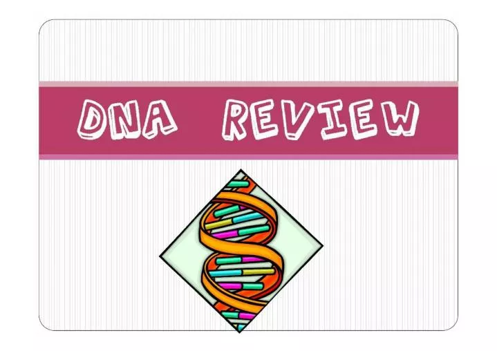 PPT What does DNA stand for? PowerPoint Presentation, free download