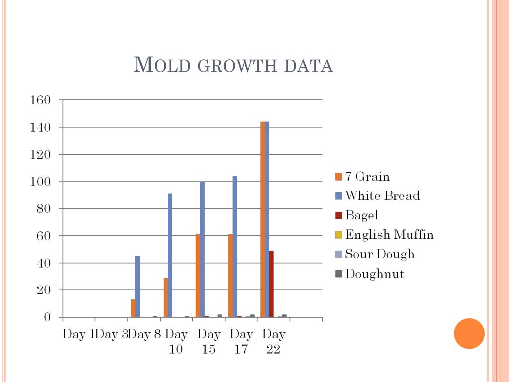 bread-mold-experiment-data