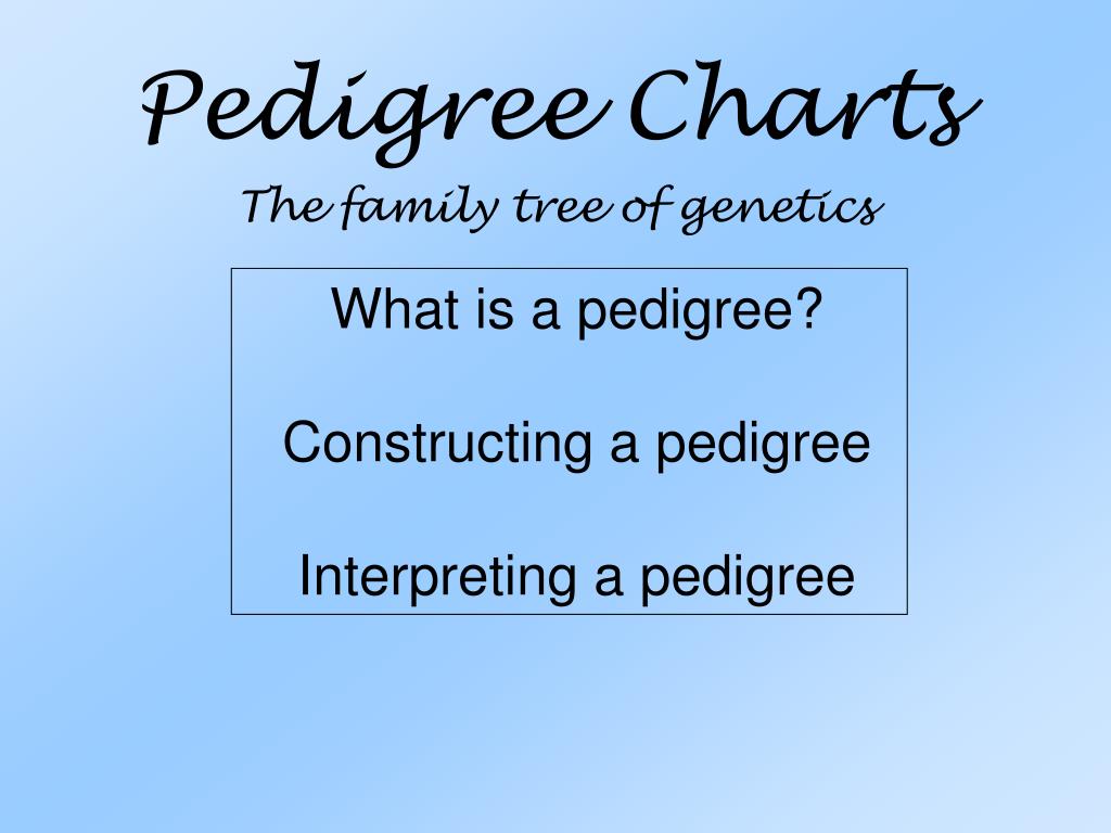 Constructing A Pedigree Chart