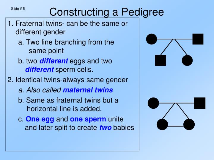 PPT - Pedigree Charts PowerPoint Presentation - ID:2478419