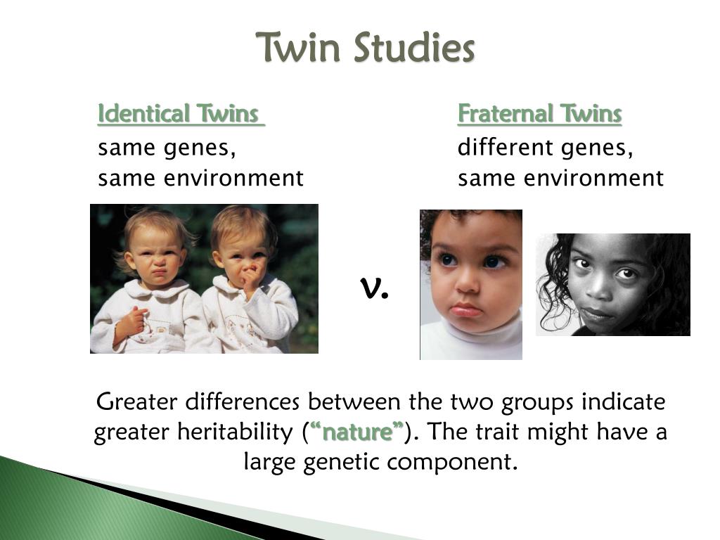 hypothesis of twin study