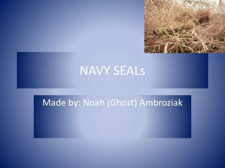 navy seals n.