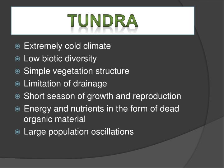 facts about the tundra