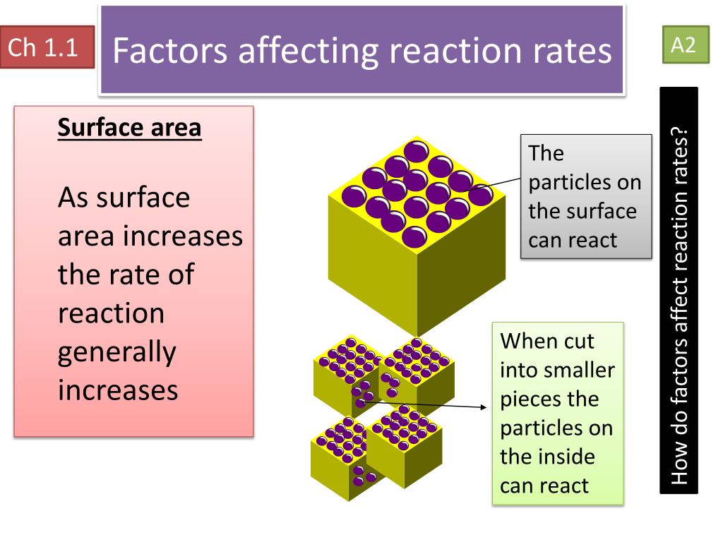 Effect rate. Factors affecting the Reaction rate. Rate of Reaction. Surface area and rate of Reaction. The rate of a Chemical Reaction.