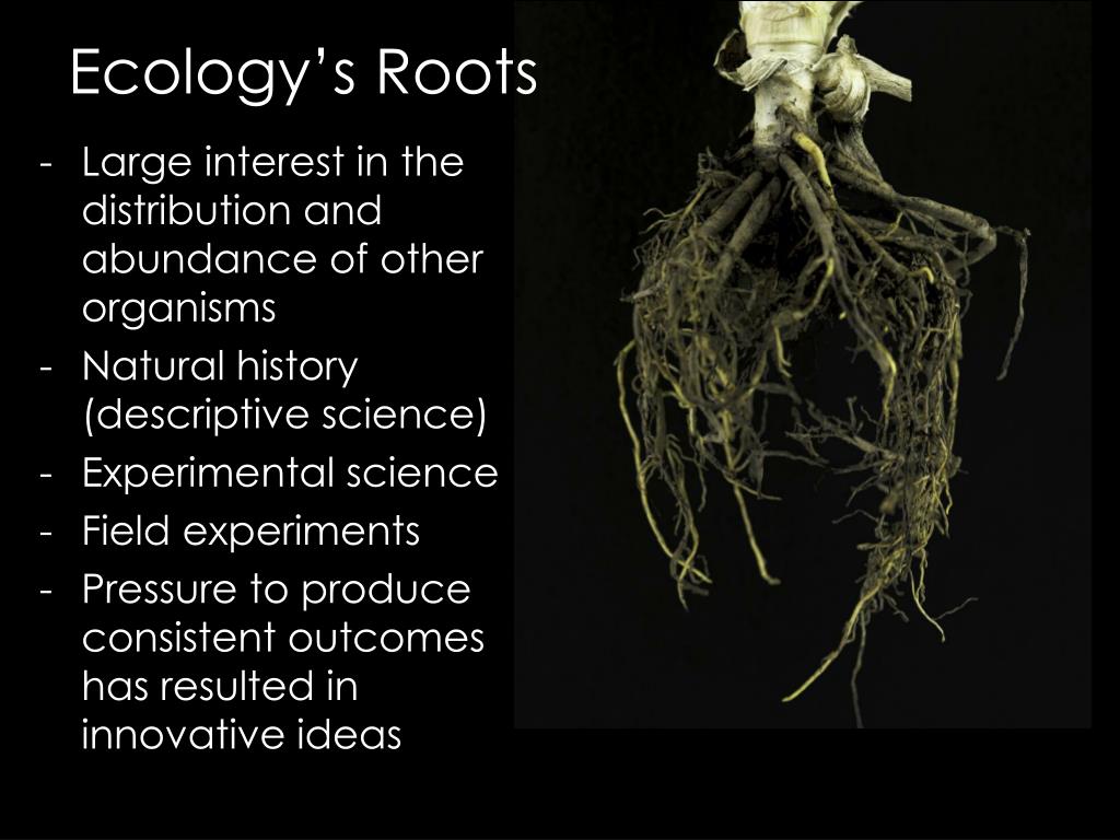 Evolutionary Roots PPT - Ecology Review pg. 1080-1084 PowerPoint Presentation, free ...