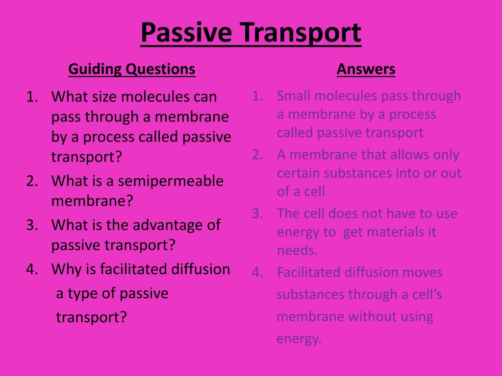 Вопрос ответ транспорт. Questions about transport. Speaking questions about transport. Means of transport questions. Discussion questions about transport.