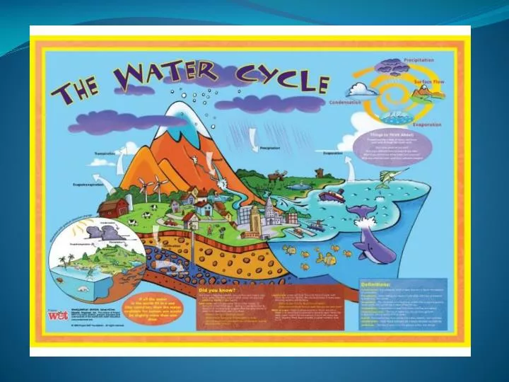 water cycle poster project Water cycle poster pa-1588 is a 2-sided poster provides information on nature's recycling system and contains information on watersheds, pollution, etc the. water cycle poster project Water cycle poster pa-1588 is a 2-sided poster provides information on nature's recycling system and contains information on watersheds, pollution, etc the.