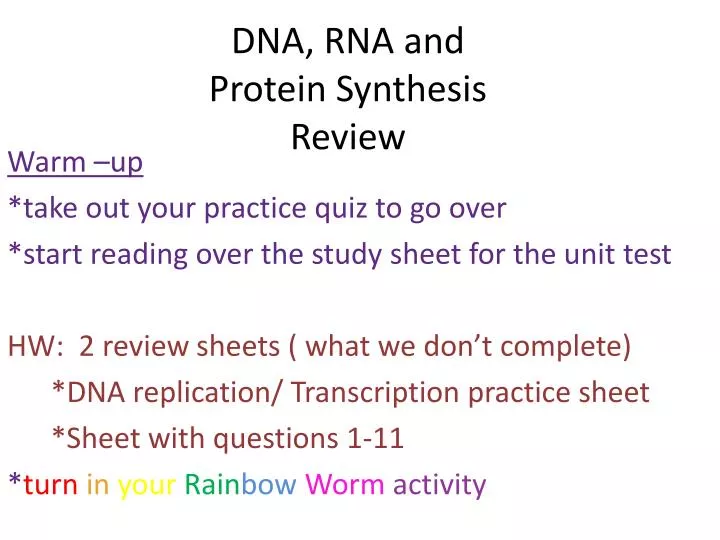 dna rna and protein synthesis review n.