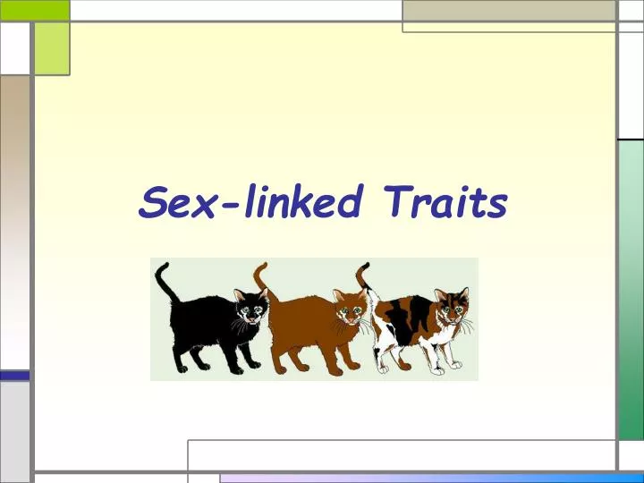 Ppt Sex Linked Traits Powerpoint Presentation Free Download Id2485227 