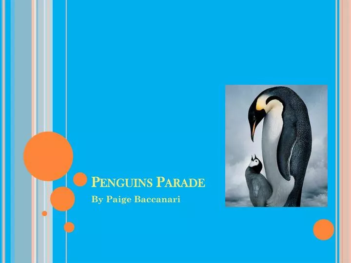 penguins parade n.