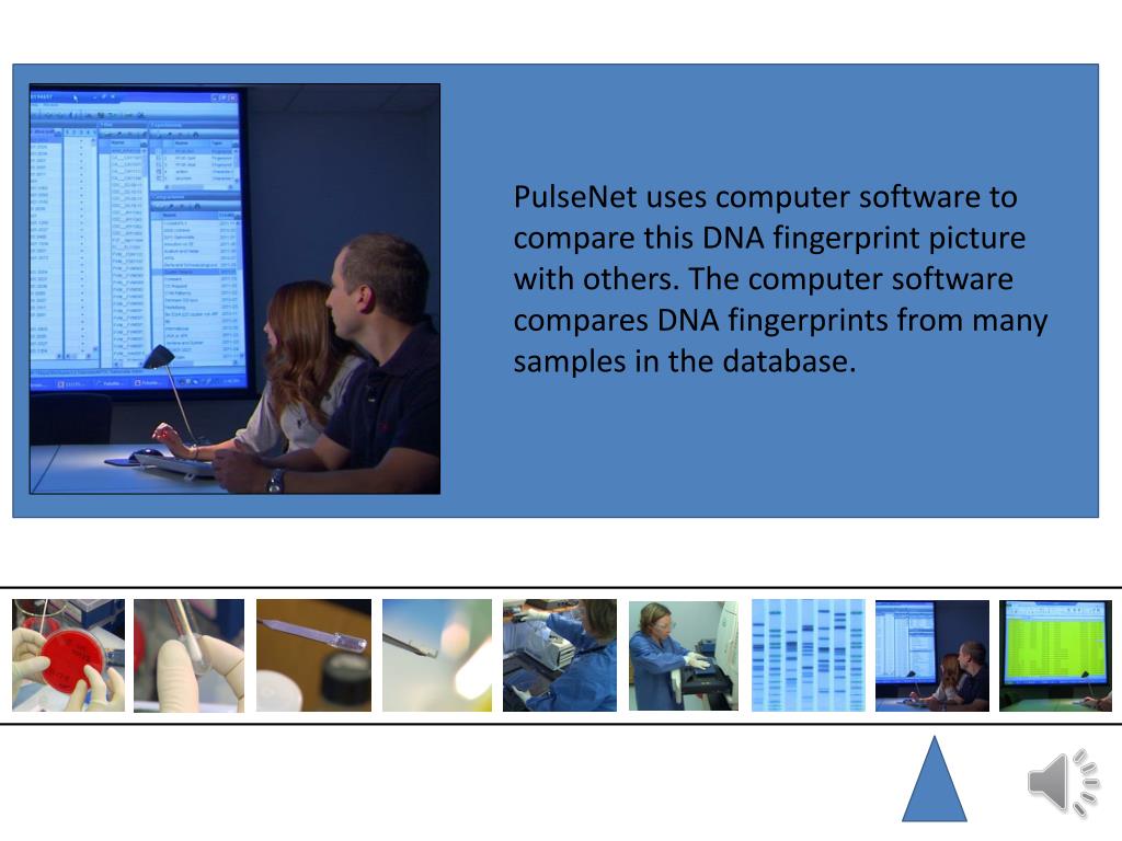 PPT - PulseNet tracks foodborne illness like the FBI tracks criminals ...
