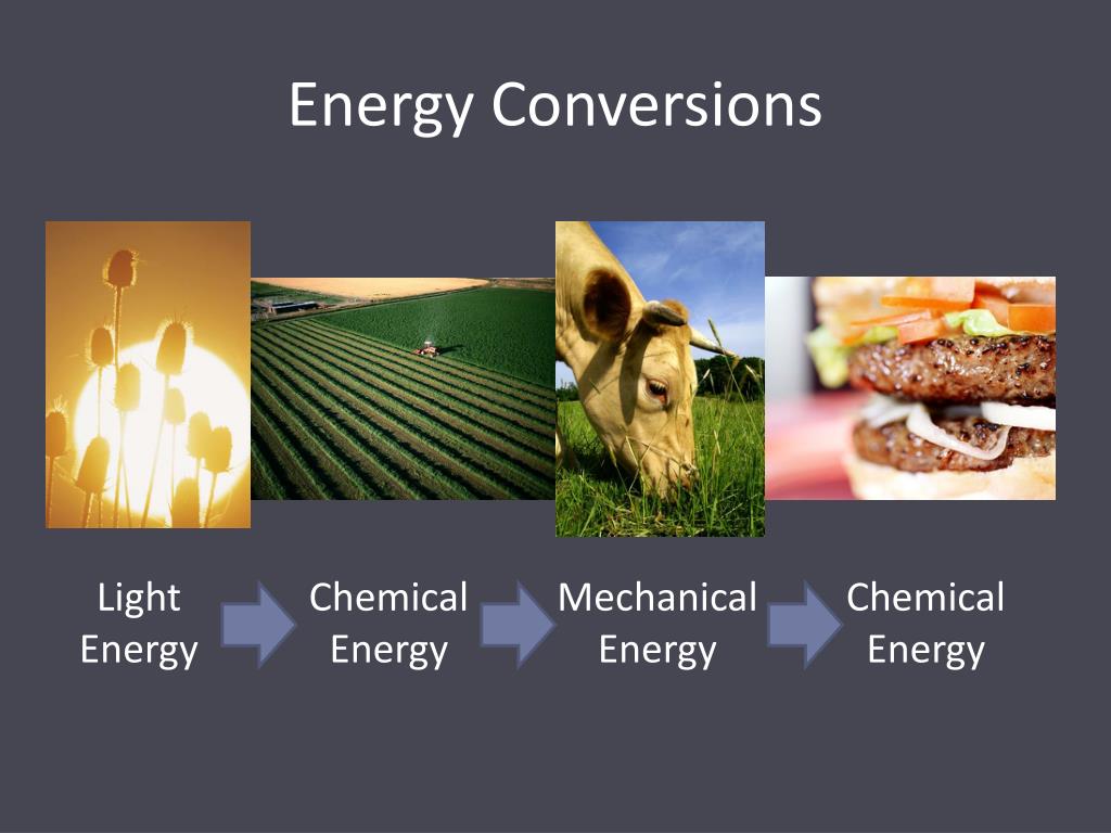 ppt-energy-conversions-powerpoint-presentation-free-download-id-2486198