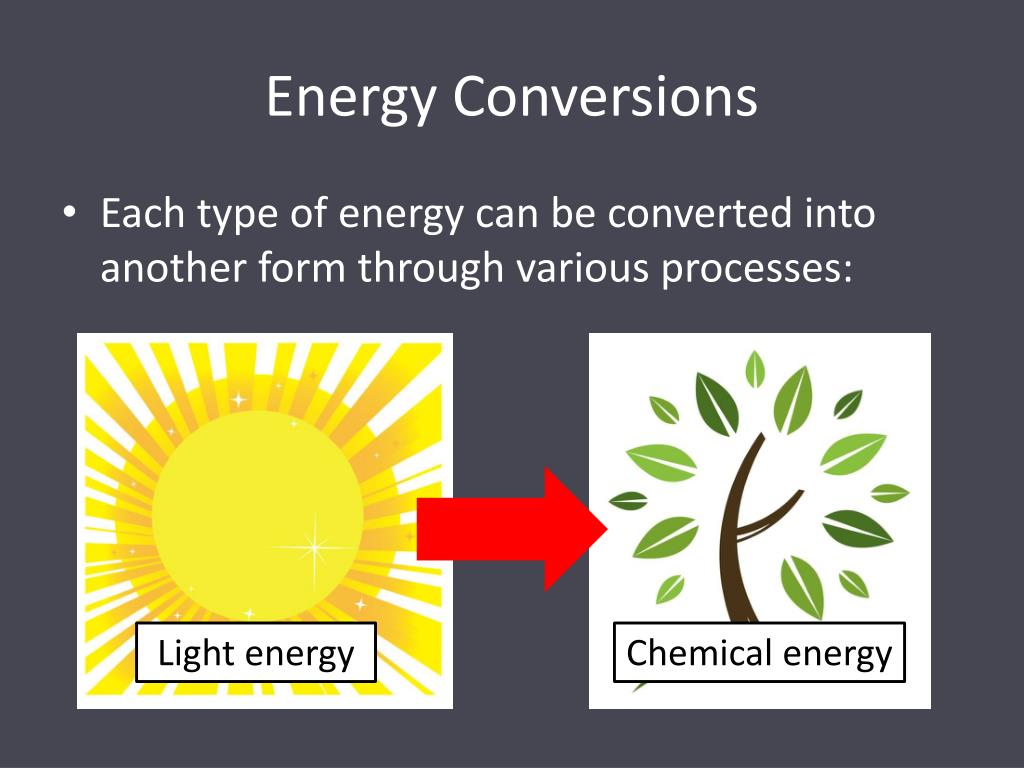 types of energy conversions examples
