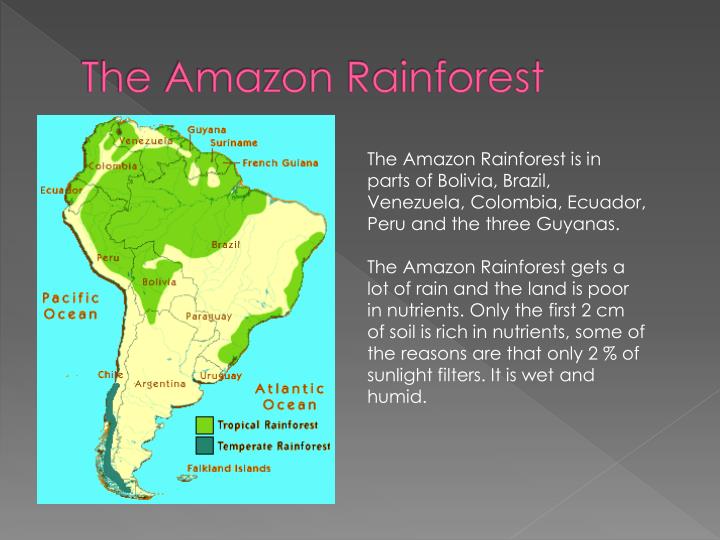 PPT Amazon Rainforest PowerPoint Presentation ID2487004