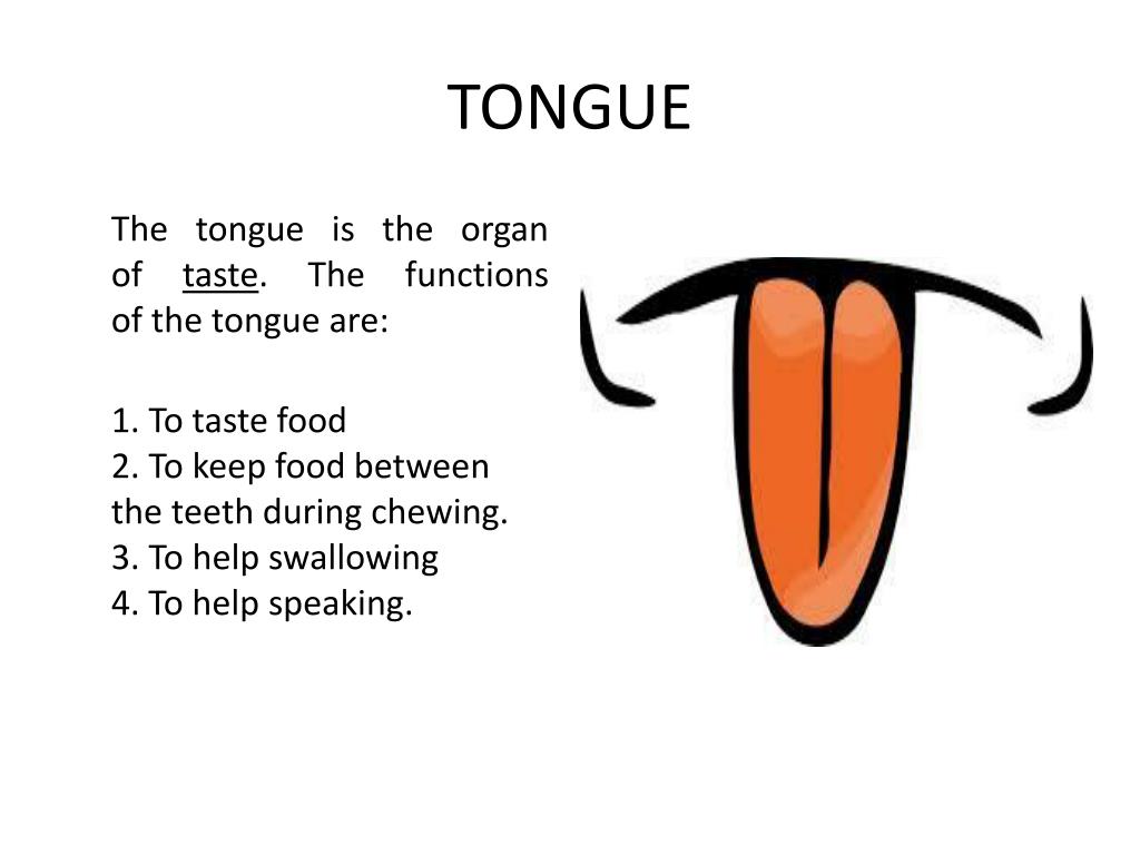 PPT - FROM TASTING TO DIGESTING SENSE ORGAN – “ TONGUE ” PowerPoint