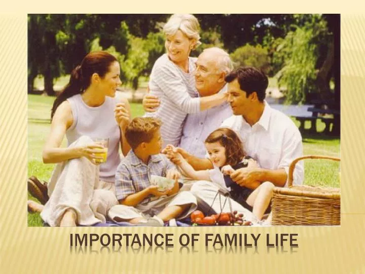 what is family life define