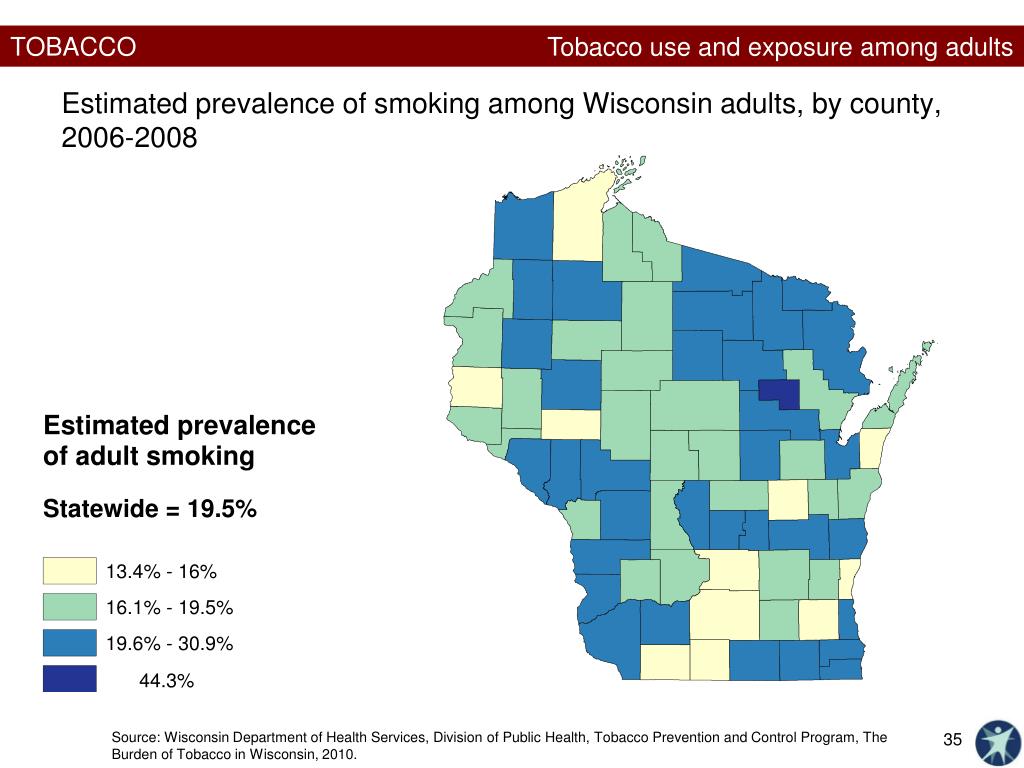 Ppt Healthiest Wisconsin 2020 Baseline And Health Disparities Report