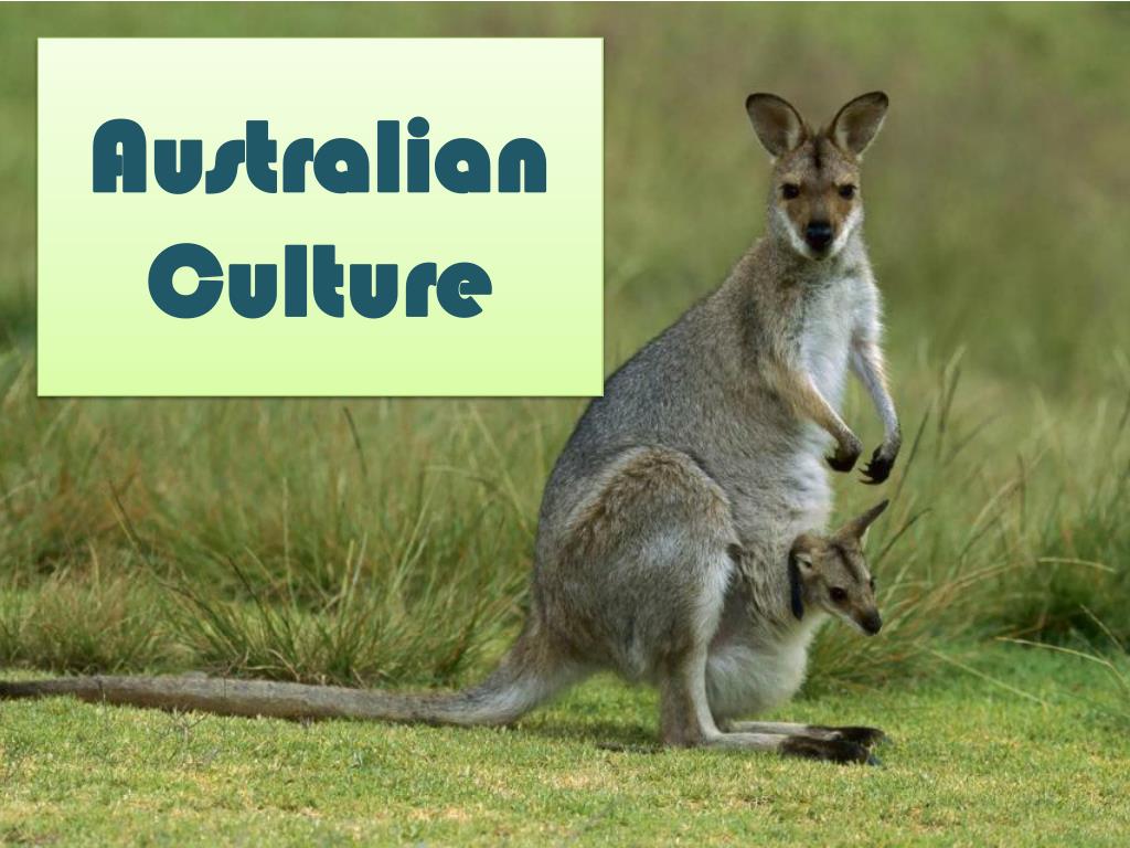 PPT - Australian Culture PowerPoint Presentation, free download - ID:2490753