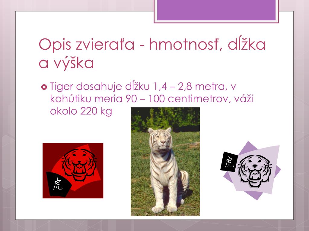 PPT - Tiger džungľový PowerPoint Presentation, free download - ID:2491280