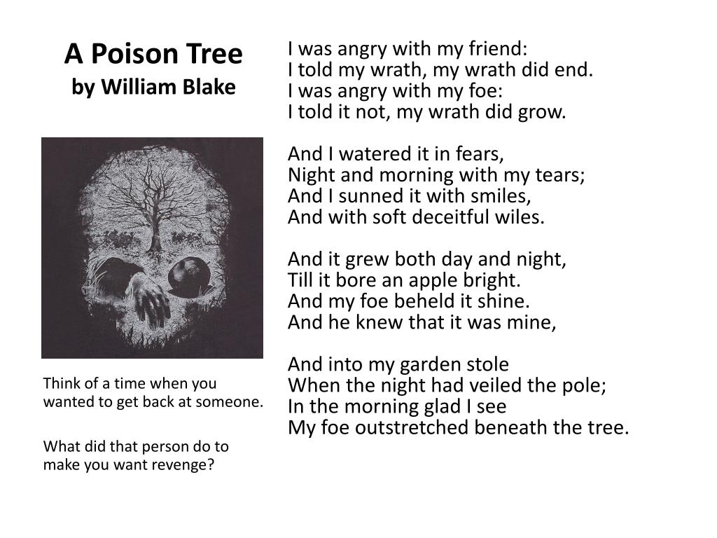a poison tree literary devices