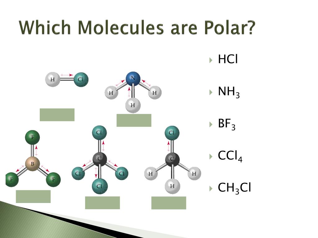 which molecules are polar.