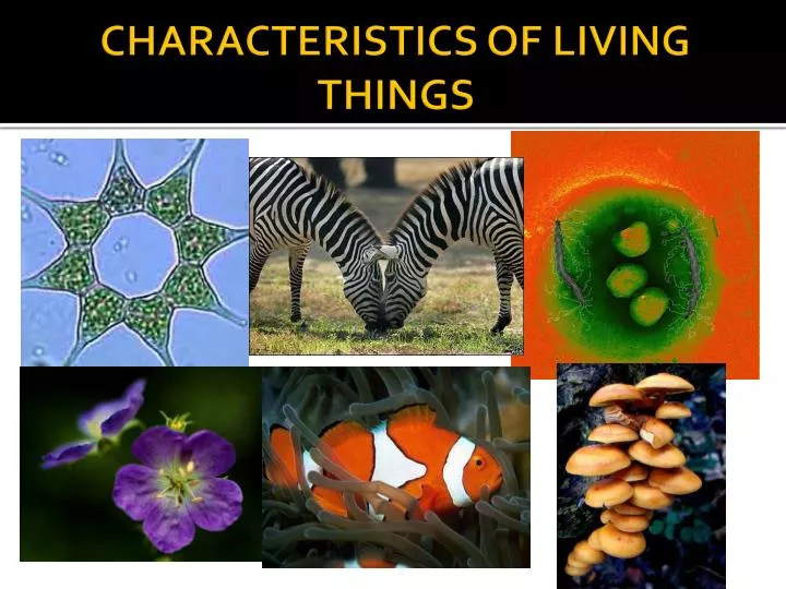 Characteristics Of Living Things Chart