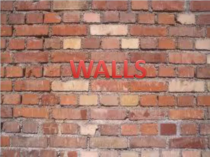 walls n.